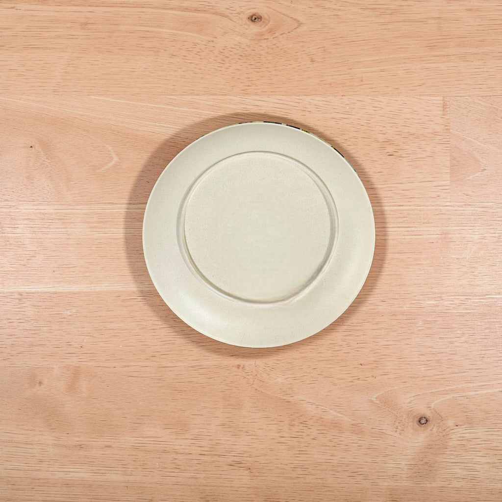 Eco-Friendly Bamboo Fiber Dinner Plates Set of 6