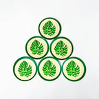 Eco-Friendly Bamboo Fiber Dinner Plates Set of 6