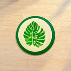 Eco-Friendly Bamboo Fiber Dinner Plates Set of 6