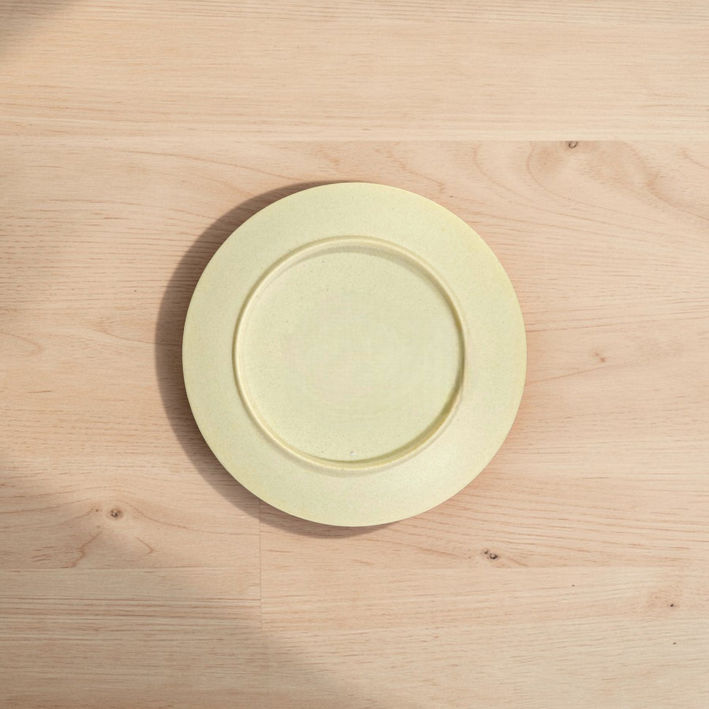 Eco-Friendly Bamboo Fiber Dinner Plates Set of 6